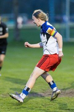 Bild 262 - wBJ Hamburger SV - Eimsbuettler TV : Ergebnis: 4:0